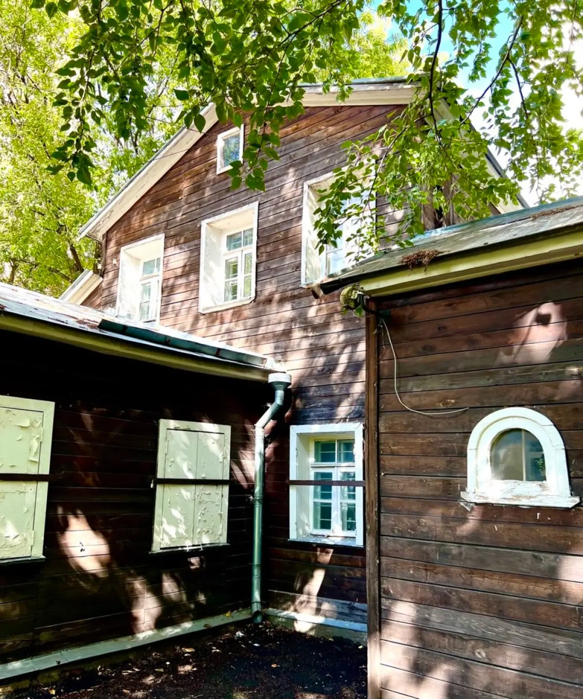 image 11