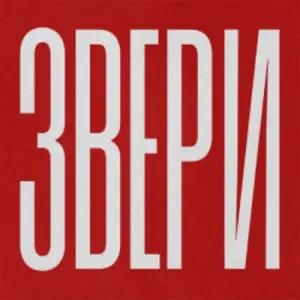 Группа «Звери» Большая спортивная арена «Лужники»~Лужнецкая наб., 24, стр. 1