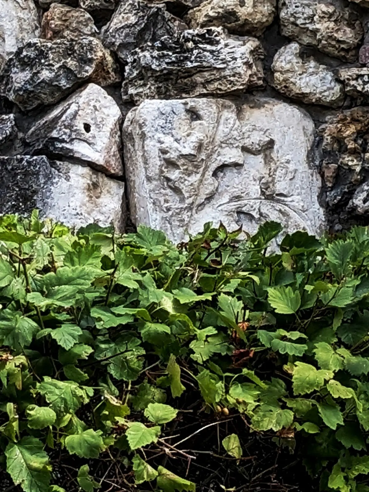 image 16
