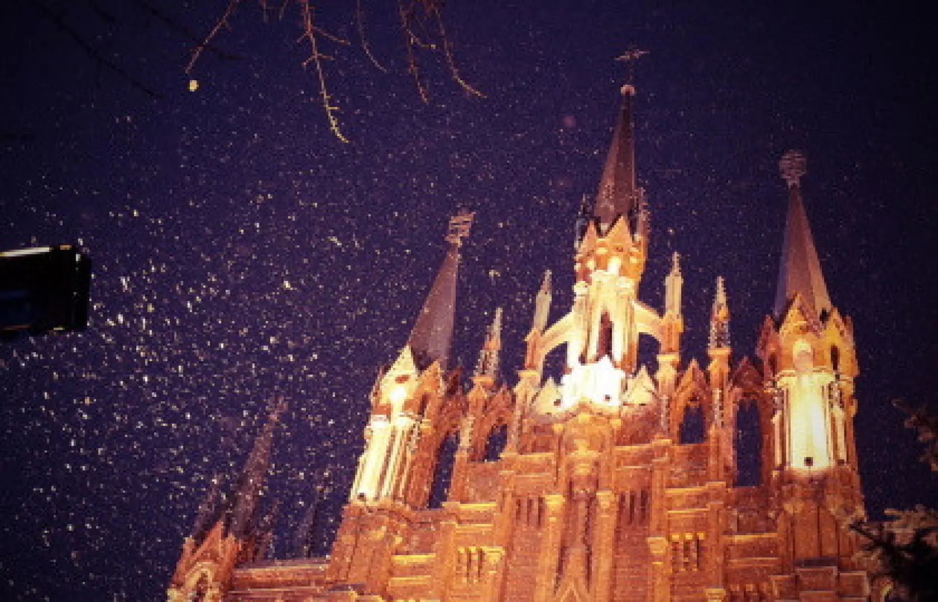 image 0
