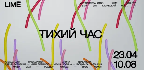 Медиаторские туры по выставке "Тихий час" в LIME Gallery ул. Кузнецкий мост, 14, 4 этаж, LIME GALLERY