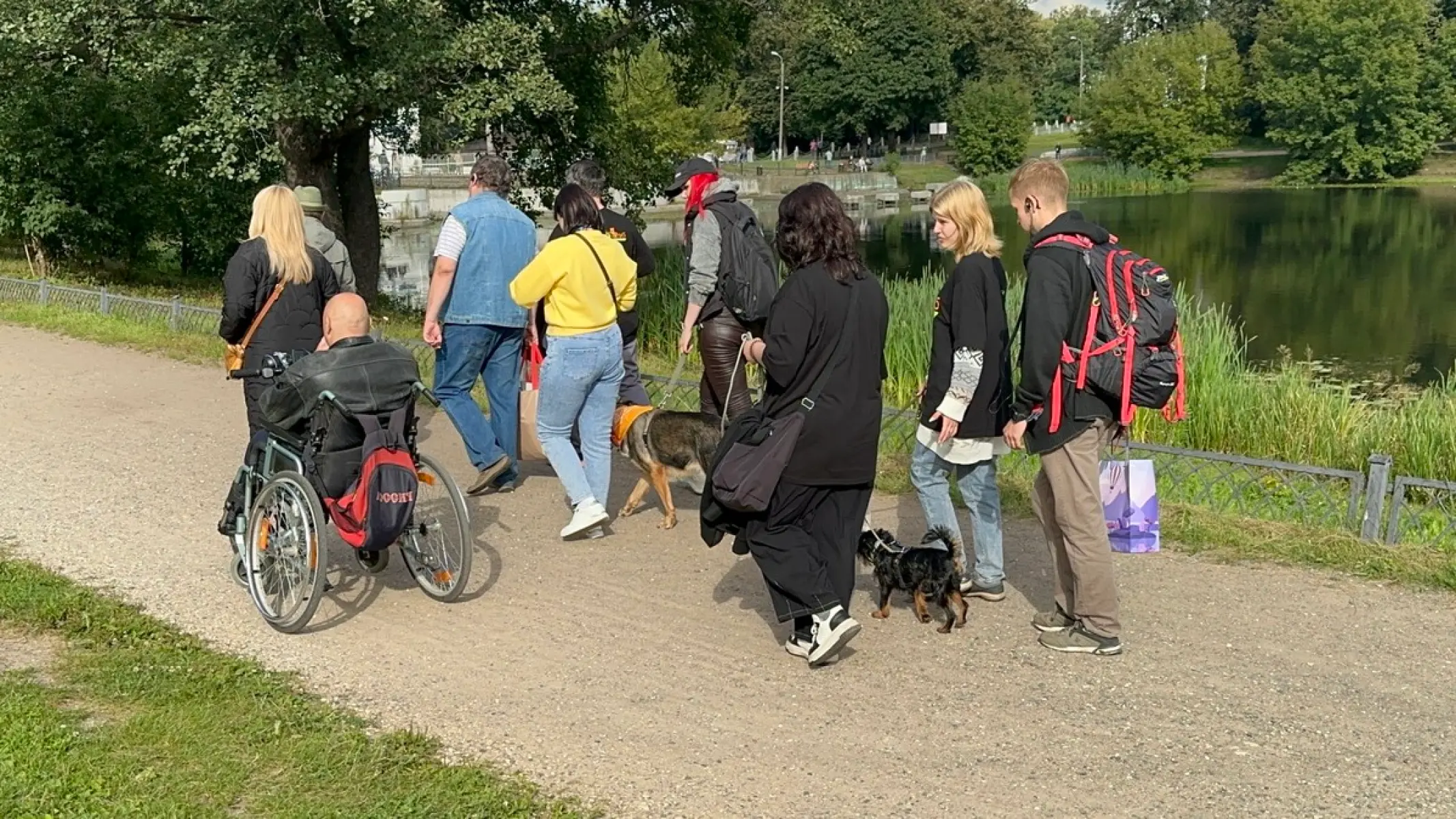 image 15