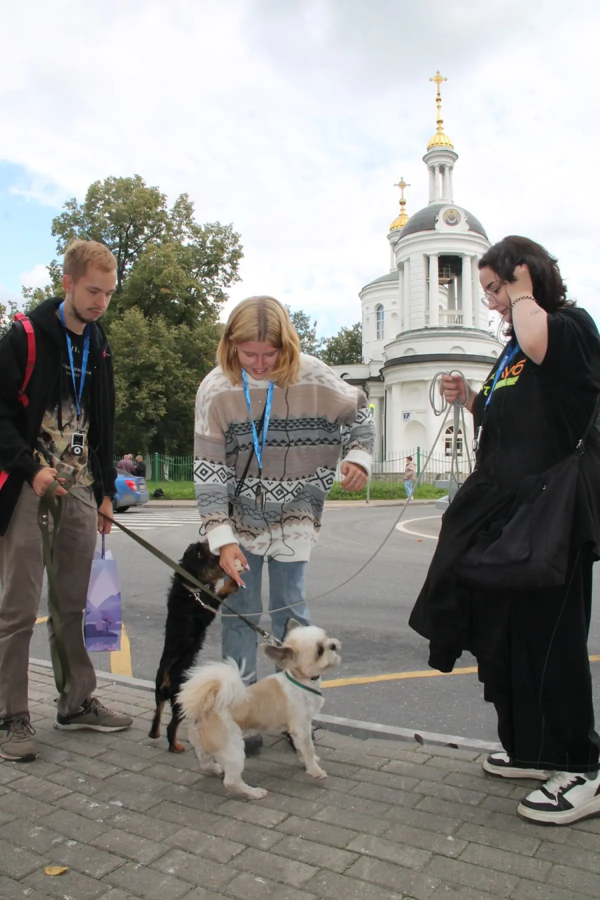 image 22