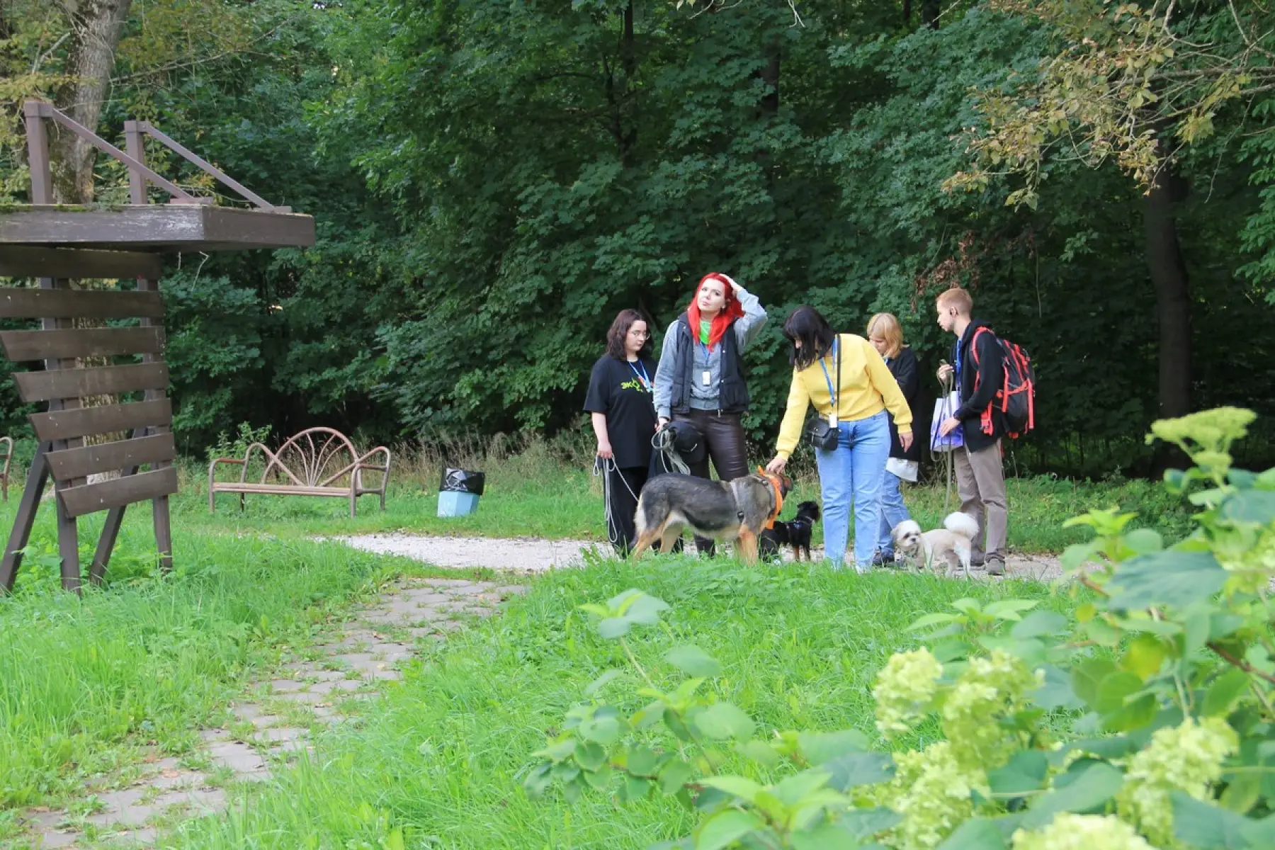 image 21