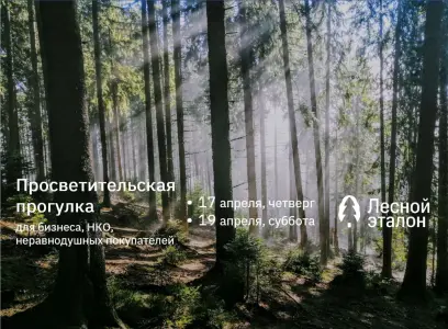 Увидеть лес, чтобы сохранить. Просветительская прогулка в лес ко Дню Земли Москва, метро Щёлковская