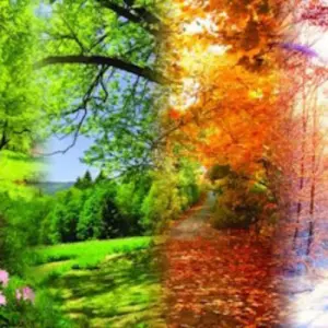 Вивальди. Времена года. Паганини. Кампанелла. Моцарт. Симфония №40 Зал церковных соборов Храма Христа Спасителя~Волхонка, 15