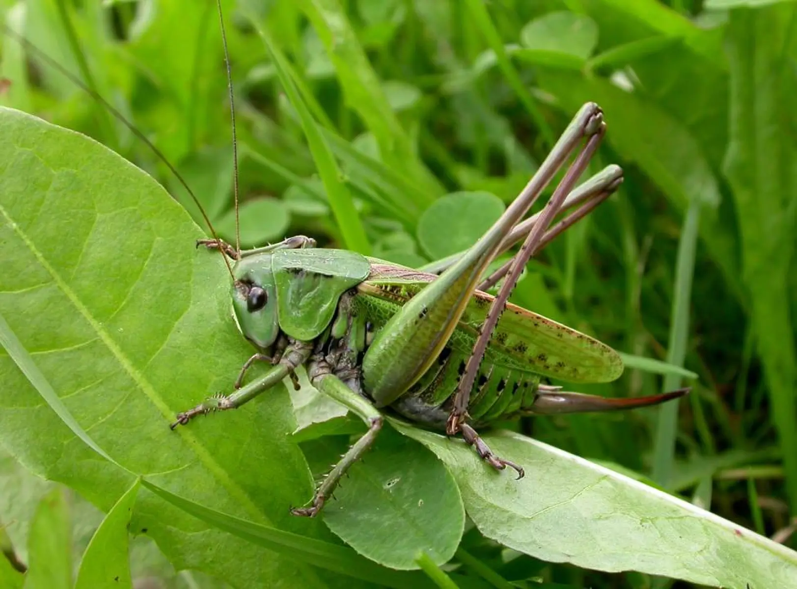 image 14